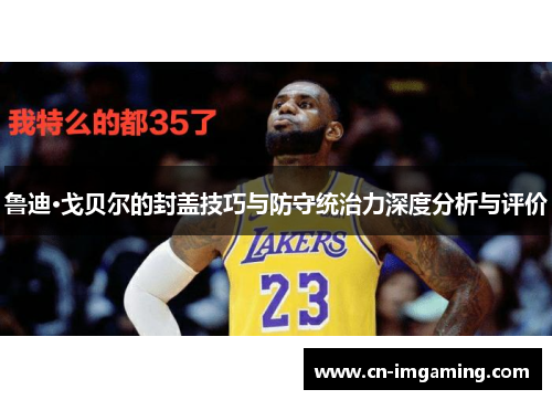 鲁迪·戈贝尔的封盖技巧与防守统治力深度分析与评价