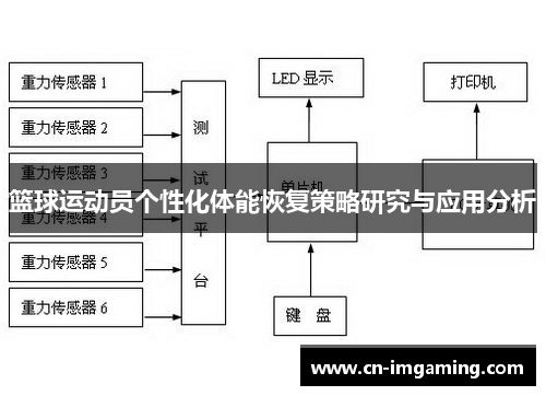 篮球运动员个性化体能恢复策略研究与应用分析