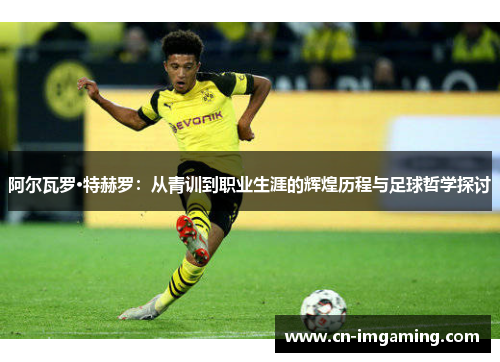 阿尔瓦罗·特赫罗：从青训到职业生涯的辉煌历程与足球哲学探讨