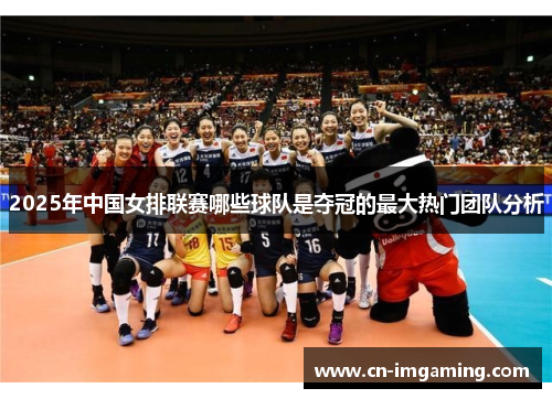 2025年中国女排联赛哪些球队是夺冠的最大热门团队分析