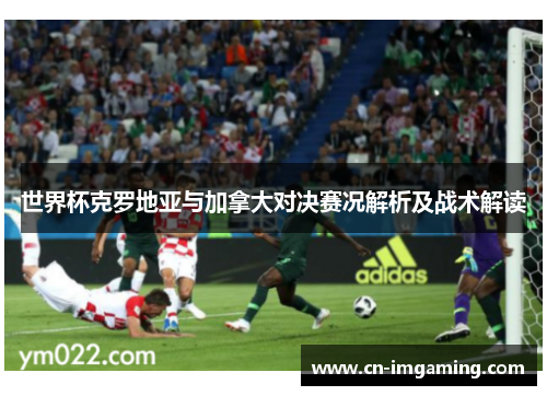 世界杯克罗地亚与加拿大对决赛况解析及战术解读