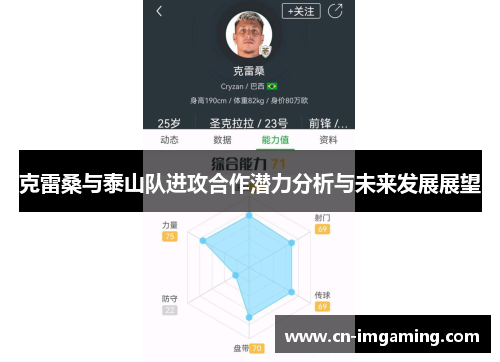 克雷桑与泰山队进攻合作潜力分析与未来发展展望