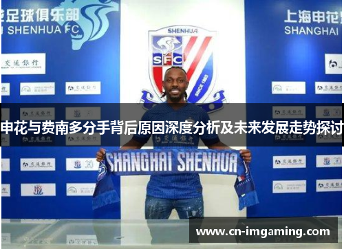 申花与费南多分手背后原因深度分析及未来发展走势探讨
