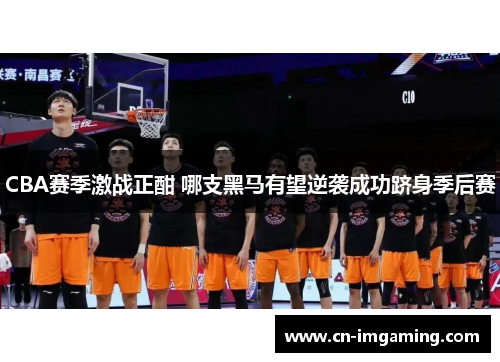 CBA赛季激战正酣 哪支黑马有望逆袭成功跻身季后赛