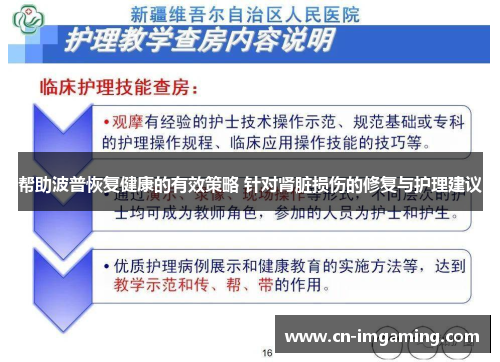 帮助波普恢复健康的有效策略 针对肾脏损伤的修复与护理建议