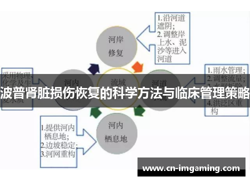 波普肾脏损伤恢复的科学方法与临床管理策略