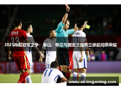 2025中超冠军之争：泰山、申花与国安三强鼎立谁能问鼎荣耀