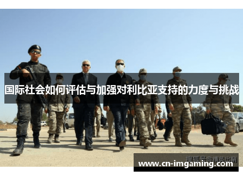 国际社会如何评估与加强对利比亚支持的力度与挑战