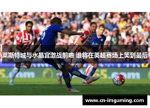 莱斯特城与水晶宫激战前瞻 谁将在英超赛场上笑到最后
