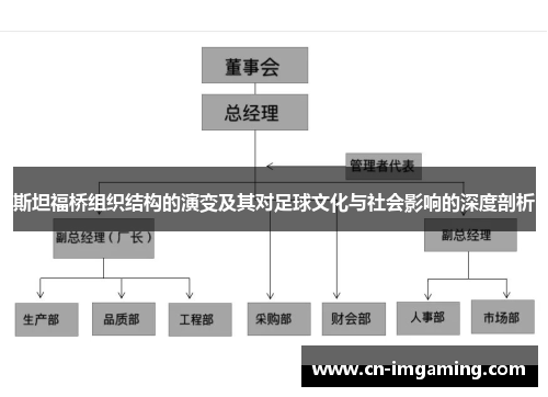 斯坦福桥组织结构的演变及其对足球文化与社会影响的深度剖析
