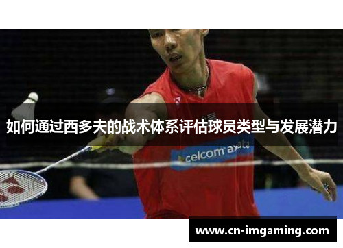 如何通过西多夫的战术体系评估球员类型与发展潜力