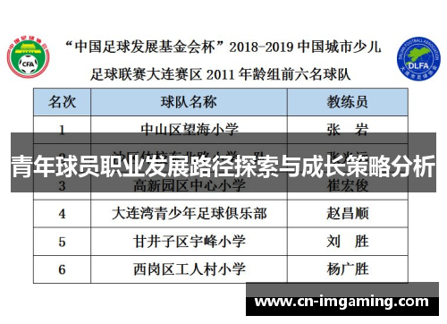 青年球员职业发展路径探索与成长策略分析