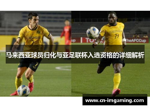 马来西亚球员归化与亚足联杯入选资格的详细解析