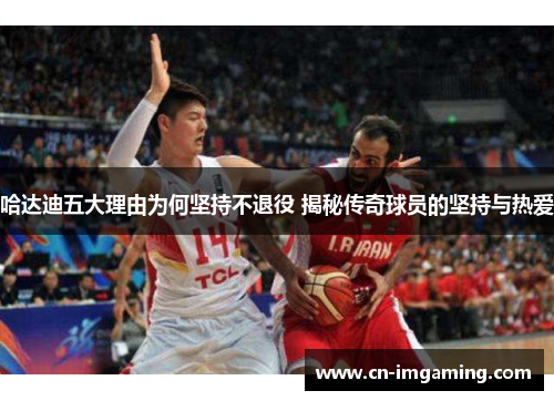 哈达迪五大理由为何坚持不退役 揭秘传奇球员的坚持与热爱