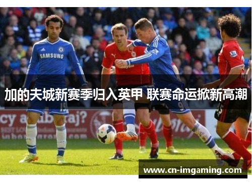 加的夫城新赛季归入英甲 联赛命运掀新高潮 加的夫城新赛季归入英甲 联赛命运掀新高潮