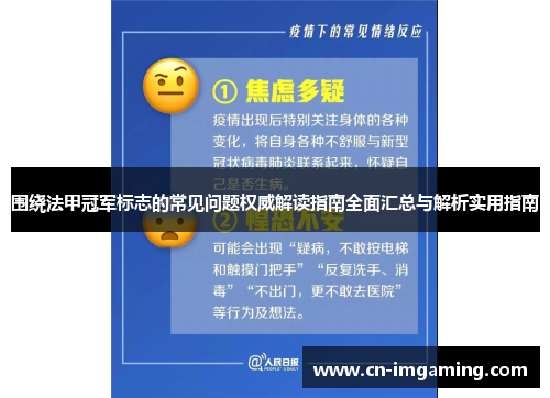 围绕法甲冠军标志的常见问题权威解读指南全面汇总与解析实用指南 围绕法甲冠军标志的常见问题权威解读指南全面汇总与解析实用指南