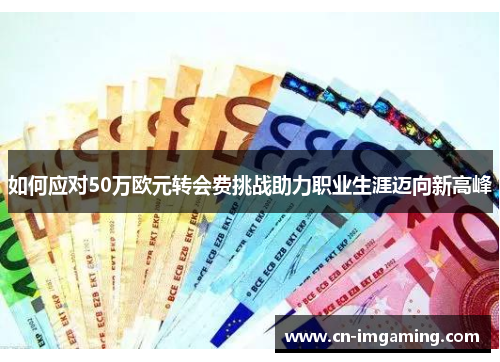 如何应对50万欧元转会费挑战助力职业生涯迈向新高峰 如何应对50万欧元转会费挑战助力职业生涯迈向新高峰