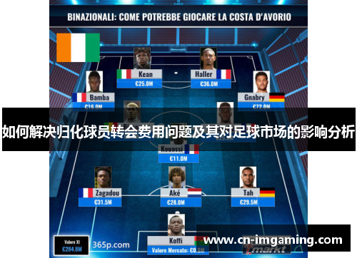 如何解决归化球员转会费用问题及其对足球市场的影响分析 如何解决归化球员转会费用问题及其对足球市场的影响分析