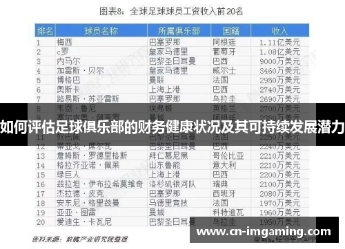 如何评估足球俱乐部的财务健康状况及其可持续发展潜力 如何评估足球俱乐部的财务健康状况及其可持续发展潜力