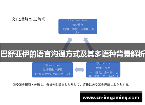 巴舒亚伊的语言沟通方式及其多语种背景解析 巴舒亚伊的语言沟通方式及其多语种背景解析