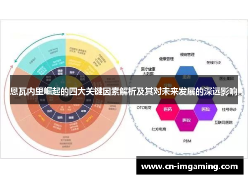 恩瓦内里崛起的四大关键因素解析及其对未来发展的深远影响 恩瓦内里崛起的四大关键因素解析及其对未来发展的深远影响