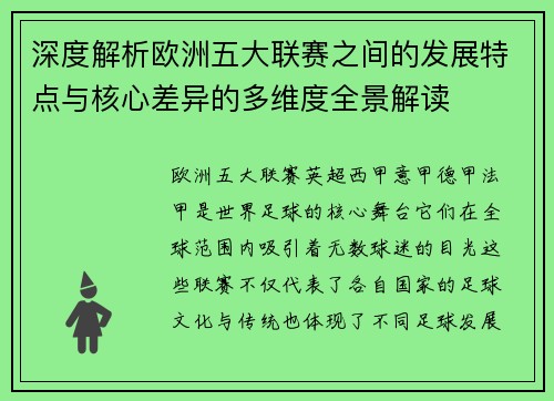 深度解析欧洲五大联赛之间的发展特点与核心差异的多维度全景解读